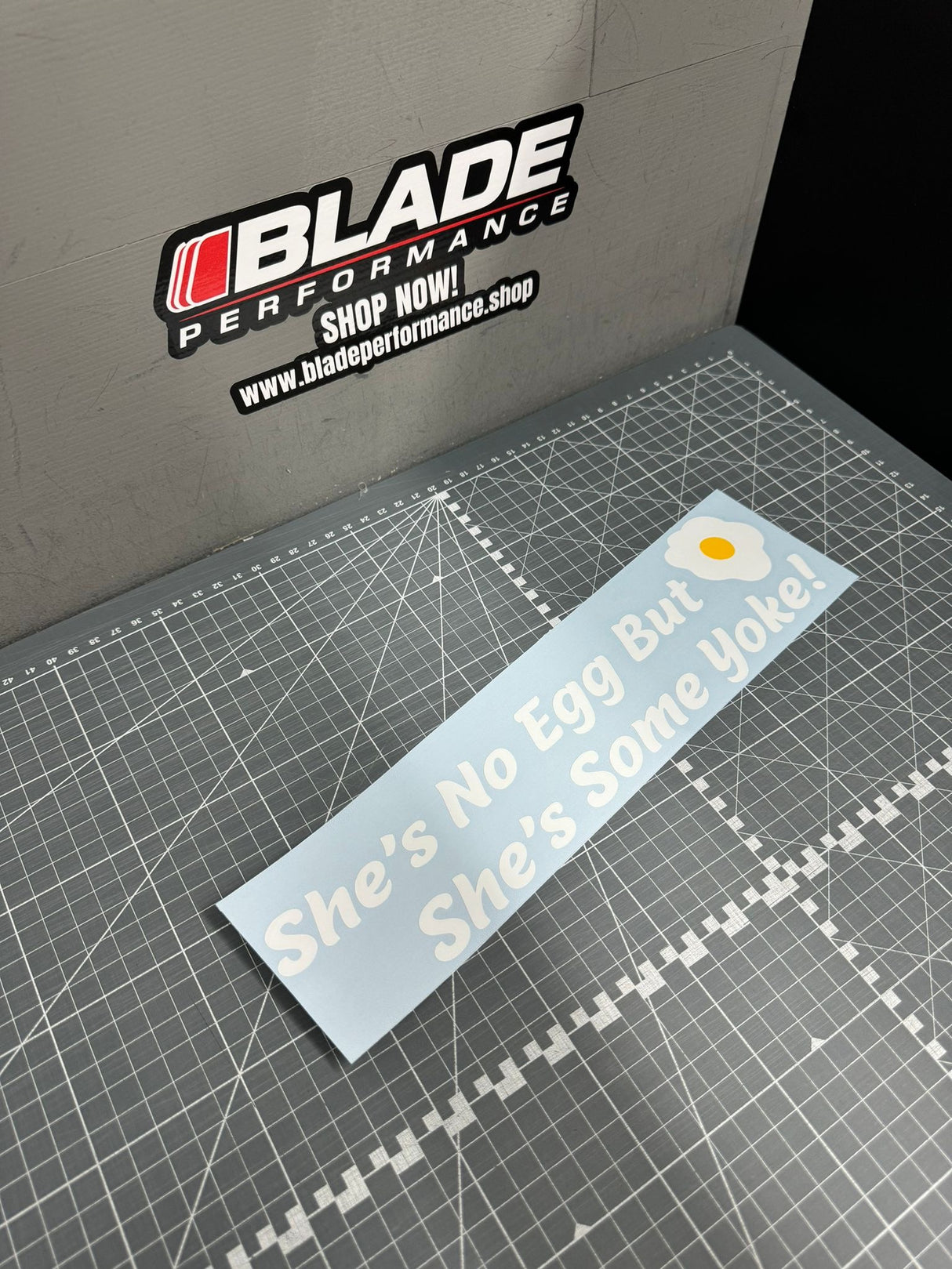 she’s No Egg…. Window Sticker