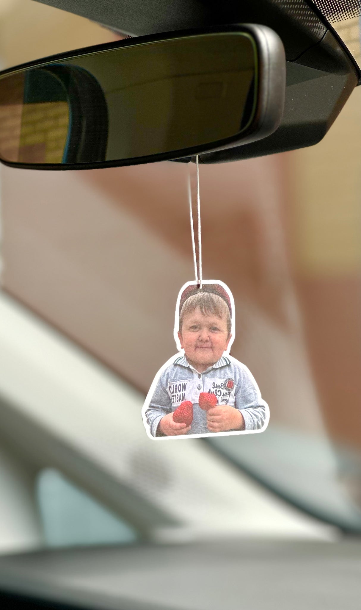 Hasbulla Air Freshener