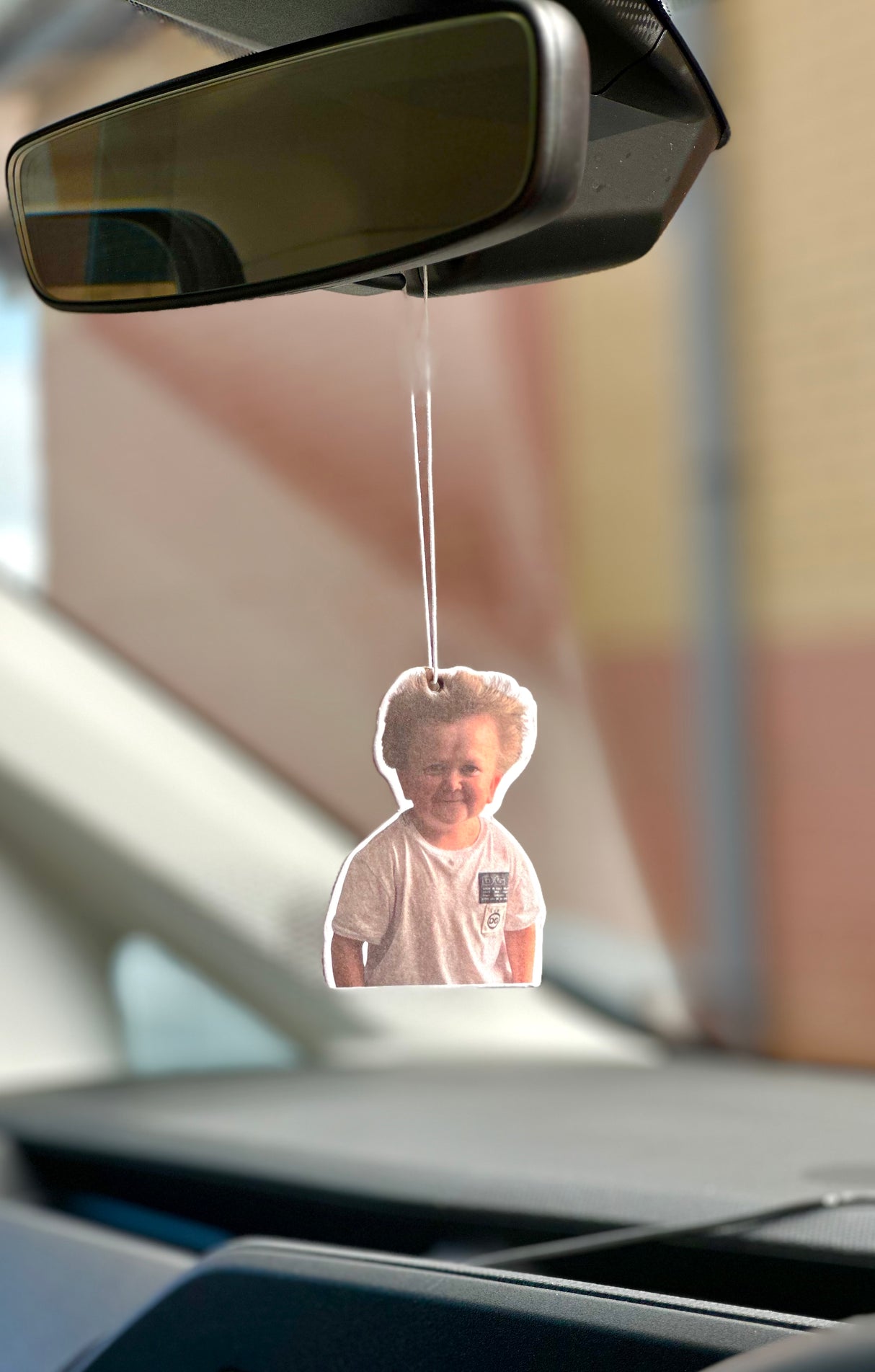 Hasbulla Air Freshener